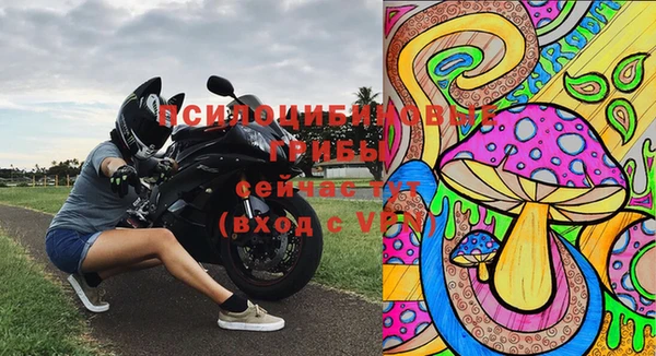 PSILOCYBIN Грязи