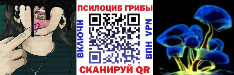 что такое   Лысково  Галлюциногенные грибы Magic Shrooms 